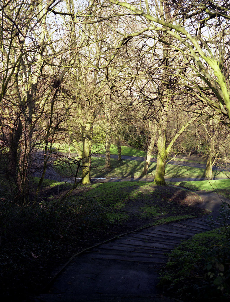 Maryon Park Series 2007