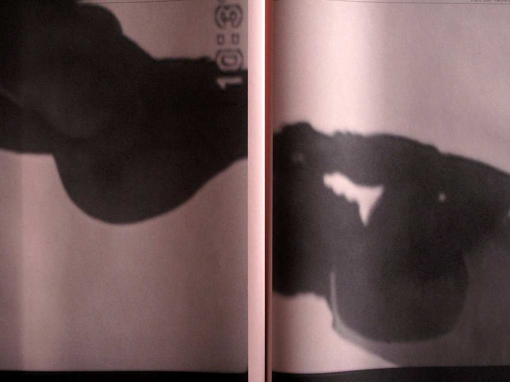 Roses Tatouées Fall 2007