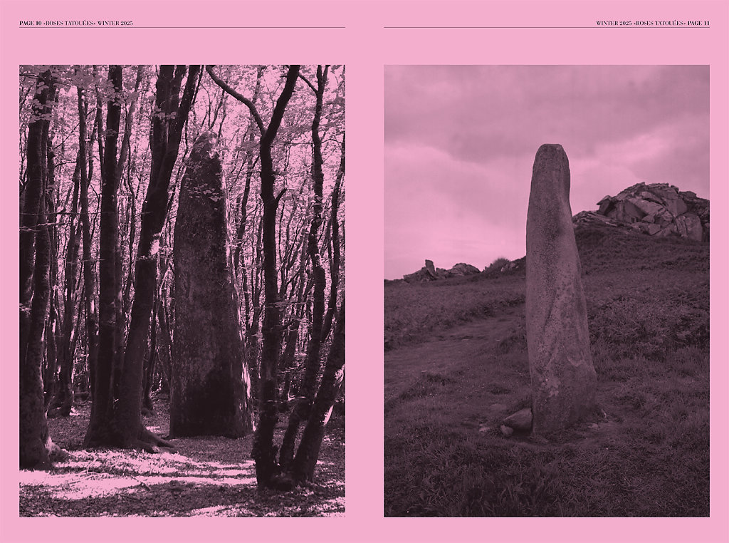 Roses Tatouées Winter 2025