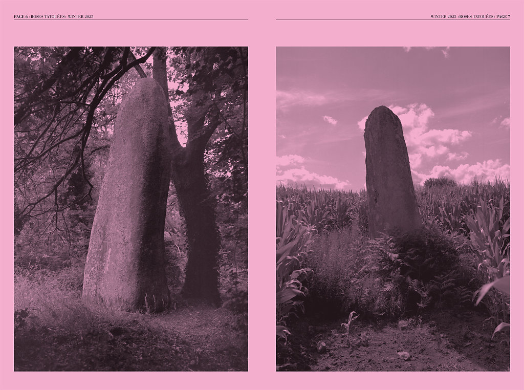 Roses Tatouées Winter 2025