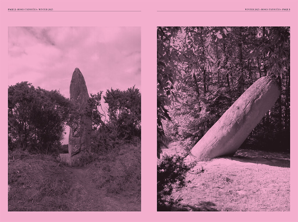 Roses Tatouées Winter 2025
